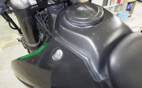 KAWASAKI KLX250D TRACKER X 2026 LX250V
