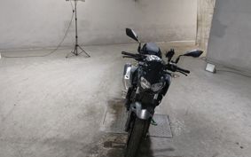 KAWASAKI Z250 EX250Y
