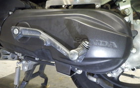 HONDA ZOOMER-X JF52