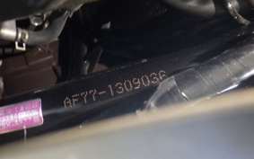 HONDA GIORNO AF77