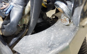 YAMAHA TW225 2009 DG09J