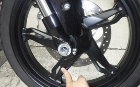 BMW G310R 2024