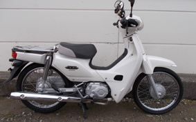 HONDA SUPER CUB110 JA10