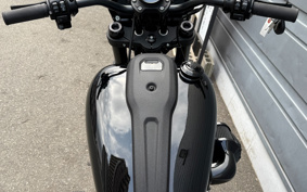 HARLEY  HARLEY FXLRS 2023 YWZ