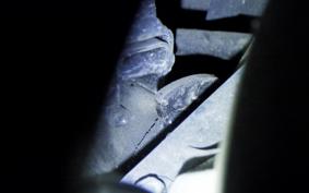 SUZUKI ADDRESS V125 DT11A