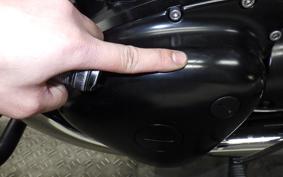 KAWASAKI W800 CAFE 2020 EJ800B