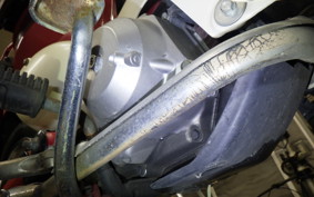 HONDA LITTLE CUB 2022 AA01