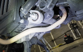 HONDA TACT Basket 2021 AF75