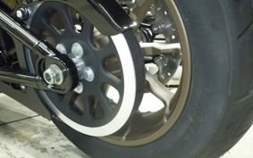 HARLEY FXLRS1920 2025