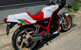 YAMAHA SRX250 51Y