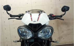 TRIUMPH  TRIUMPH SPEED TRIPLE RS 2019 TPN275