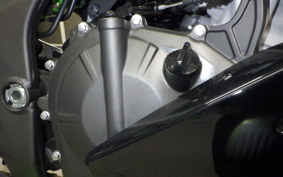 KAWASAKI ZX-4RR 2023 ZX400P