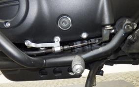 TRIUMPH SCRAMBLER 900 2023
