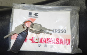 KAWASAKI KR250S 2024 KR250A