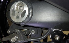 KAWASAKI NINJA 1000SX 2023 ZXT02K