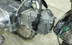 HONDA GORILLA 2025 Z50J