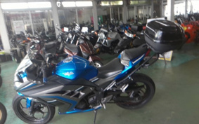 KAWASAKI NINJA 250 EX250L