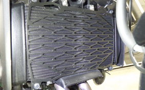 KAWASAKI ELIMINATOR400-3SE 2025 EL400A