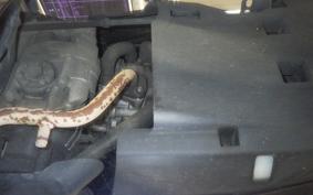 YAMAHA JOG Gen.5 2008 SA36J