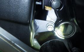 KAWASAKI NINJA 250 EX250L