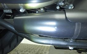 HARLEY XL883N 2016