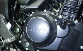 SUZUKI V-STROM 250 A 2018