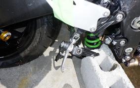 KAWASAKI NINJA ZX-6R A 2019 ZX636G