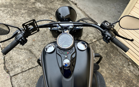 HARLEY FLS 2014 JR5