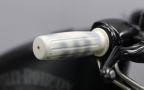 HARLEY XL883N 2017 LE2