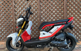 HONDA ZOOMERX JF62