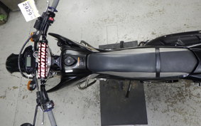 YAMAHA WR250X DG15J