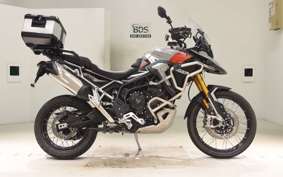TRIUMPH TIGER 900 RALLY PRO 2024