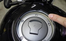 HONDA REBEL 250 A MC49