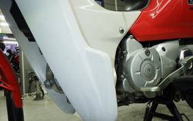 HONDA C110 SUPER CUB 2008 JA10