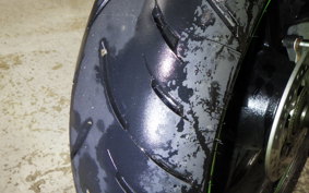 KAWASAKI ZX-4RR 2024 ZX400P