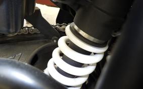 TRIUMPH TIGER 900 RALLY PRO 2025