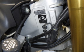 YAMAHA WR250R
