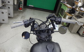 YAMAHA VIRAGO 250 2015 3DM