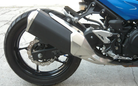 KAWASAKI NINJA 250 EX250P