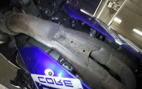 YAMAHA YZF-R1 2011 RN24J