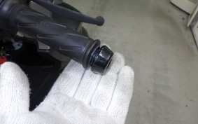 SUZUKI BURGMANｽﾄﾘｰﾄ125EX 2022 EA23M