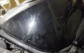 SUZUKI GOOSE 250 NJ46A