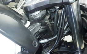 SUZUKI GSX250RA 2006