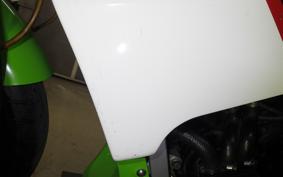 KAWASAKI KR250 KR250A