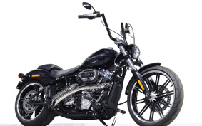 HARLEY FXBRS 2020 YHK