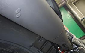 HONDA CRF250L