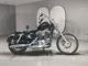 Фото Harley XL1200V 2013 с японского аукциона