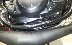 YAMAHA RZ250R 2013 29L