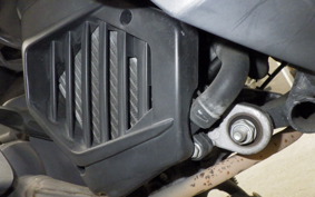 HONDA TACT Basket AF79