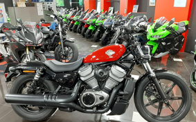 HARLEY RH975 NIGHT STAR 2023 ZH1